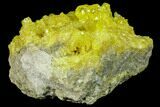 Sulfur Crystals on Matrix - Bolivia #84526-1